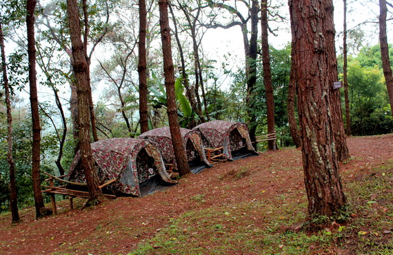 Relaxing Camping